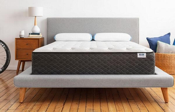 bear-mattress