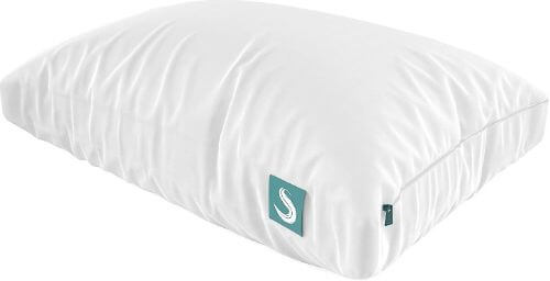 sleepgram-bed-pillow